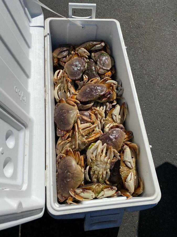 Winchester Bay Inn Reedsport Luaran gambar