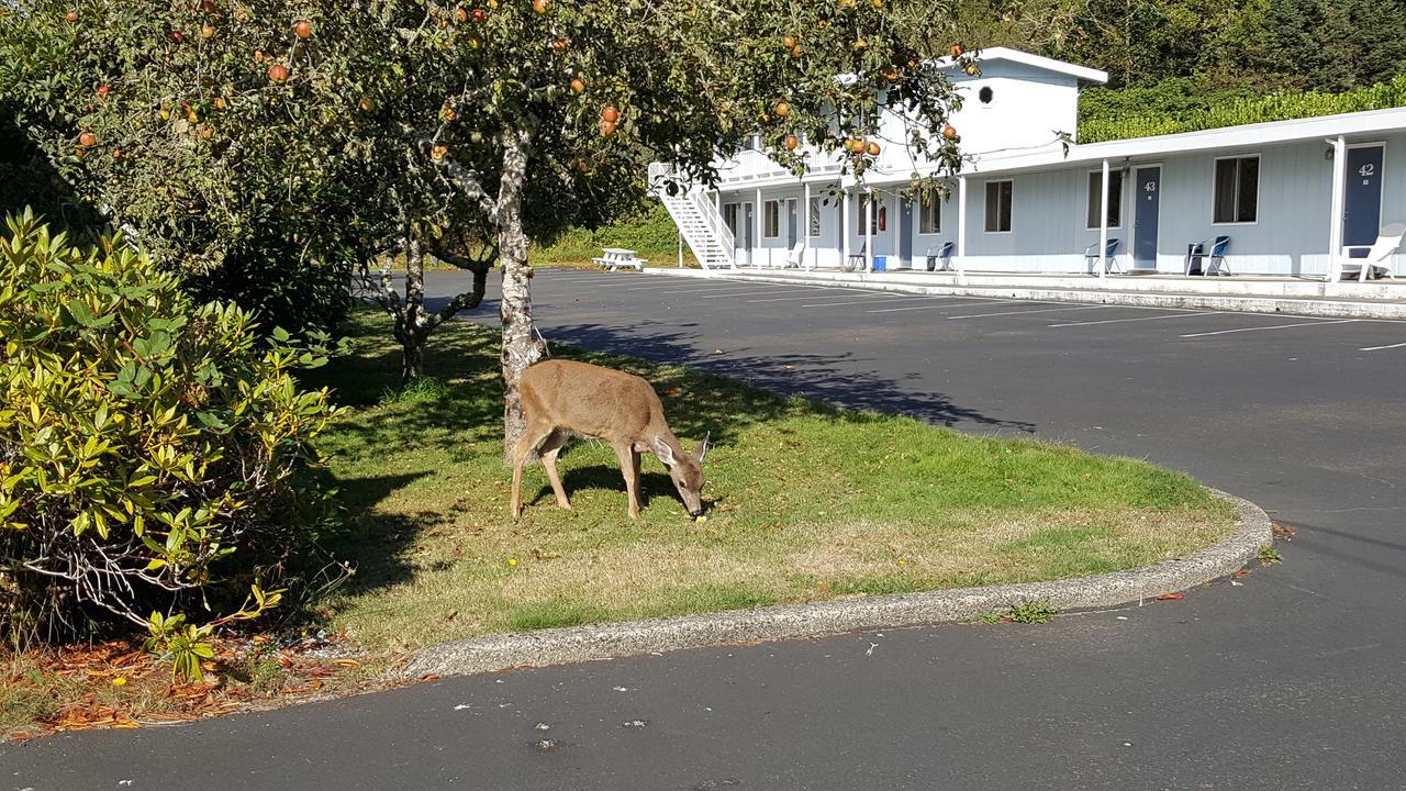 Winchester Bay Inn Reedsport Bilik gambar